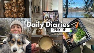 daily diaries ep 1 : health & dating updates