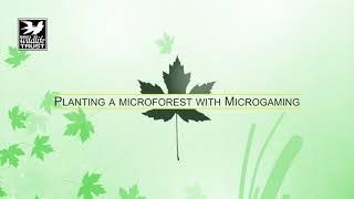 MWT Microforest with Microgaming 8 October 2021