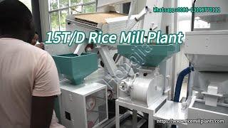 15T/D Mini Rice Mill Plant | Mini Rice Machine Machine Price #ricemillsupplier #ricemillequipment