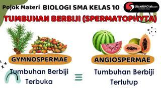 Tumbuhan Berbiji Terbuka dan Tertutup || SPERMATOPHYTA || Materi Biologi Kelas 10 || Utak Atik Otak