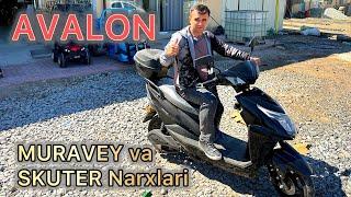 MURAVEY va SKUTER narxlari.Xonqa dehkon bozori .09.09.2024