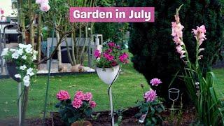 Walk my Garden with me | July 2024