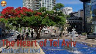 Tel Aviv on the Eve of Shabbat: A Walk Along Rothschild Boulevard