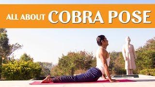 Bhujangasana (Cobra Pose) | Bhujangasana Benefits & Steps I Triyogam Series