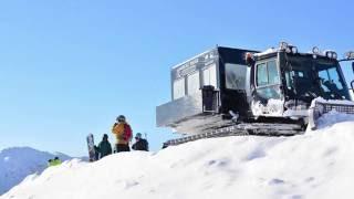 Niseko Weiss Powder CAT skiing