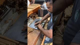 Master Cigar Roller Shows How It's Done