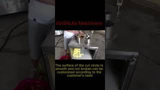 Potato slicer to customer test machine delivery