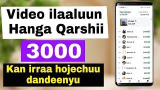 Hojii Online irraa Guyyaa Tokkoo Birrii 700 olii Argachuu Dandeessan ykn Dalagachu Dandeesan