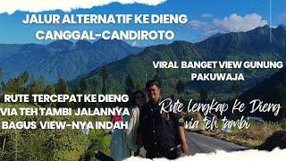 jalan viral ke Dieng jalan terindah via tambi view-nya gunung pakuwaja indah banget//rute part 2