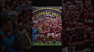 Secador ️.  #flamengo #campeão#libertadores