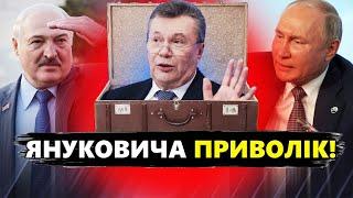 Януковича ПРИВЕЗЛИ до Білорусі? ВРАЖАЮЧІ заяви Путіна про ВІЙНУ! Війська ВЖЕ біля Польщі | МУСІЄНКО