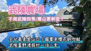 武陵農場｜不爬武陵四秀、雪山要幹麼？七家灣溪賞國寶魚櫻花鉤吻鮭，全台最美登山口吃限定冰淇淋，露營區森林咖啡吧，武陵富野渡假村一泊二食｜雪霸國家公園｜台中和平景點