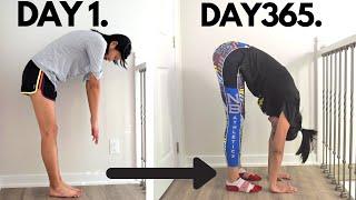 I stretched every day for a year
