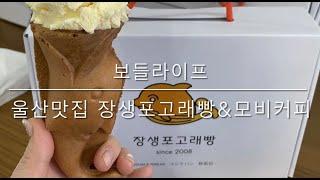 [보들라이프] 울산 맛집 장생포 고래빵 & 고래아이스크림 & 모비커피