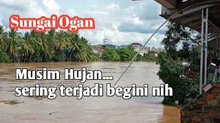 Sungai Ogan Meluap, Mahluk Misterius Muncul
