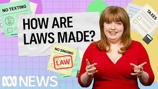 How are laws made? | Politics Explained (Easily) | ABC News