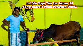 Ini Dia Sapi Tim Ser Naser 99 Yang Juara 1 Piala Presiden 2024.