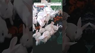 This man rescued a newborn rabbit, and a miracle happened #animalshorts #shortvideo