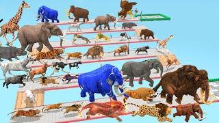 Which Animal vs Prehistoric Mammals Speed Race Run Zigzag Down Course! from Outside Animal Revolt