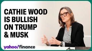 Elon Musk 'vitally important' to Trump admin.: Cathie Wood