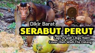 Dikir Serabut Perut cover Wadi Tok Dalang