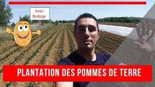 [PLANTATION][BUTTAGE][IRRIGATION] pomme de terre 2019