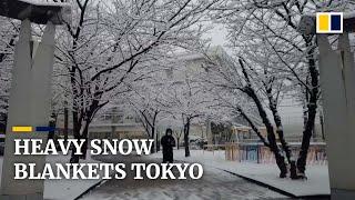 Heavy snowfall in Tokyo injures over 50, cancels flights and triggers alert