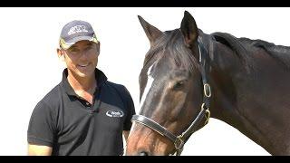 Magnesium and your horse - Too much vs too little