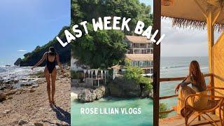 2023 Bali Vlog  Staying at Dreamsea Surf Camp