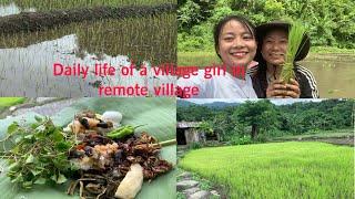A day in my life||visited paddy with my cousin ||Remote village in Nagaland