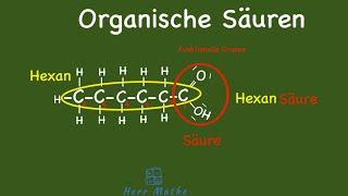 Organische Säuren - Grundlagen