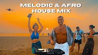 Melodic House & Afro House Sunset Mix I Carlito