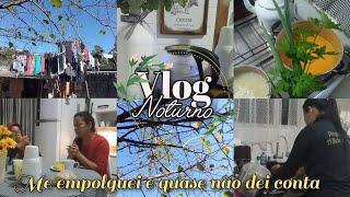 Vlog  LAVEI, LIMPEI, ORGANIZEI A CASA - NAS FÉRIAS ME EMPOLGO E QUERO FAZER TUDO DE UMA VEZ 