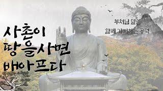 부처님 말씀  함께 기뻐하는 공덕