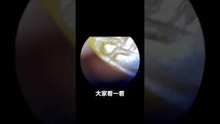 古玉#老玉收藏#古董古玩#玉高古玉#鉴定鉴宝#玉文化淘宝#捡漏