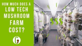 How much does  a low tech mushroom farm cost? | GroCycle