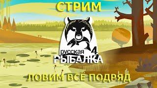 РУССКАЯ РЫБАЛКА 4 (RUSSIAN FISHING 4) Ищем трофа