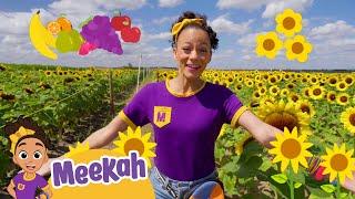 Meekah Explores A Fruit and Sunflower Farm! | Blippi and Meekah | Educational Videos for Kids