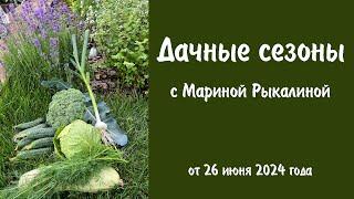 Дачные сезоны с Мариной Рыкалиной от 26 июня 2024 года