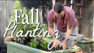 Planting Flower Seedlings & Some Gorgeous Hostas  || Visit Our Garden