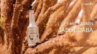 MONIN Le Fruit Jabuticaba