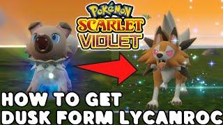 How to get Dusk Form Lycanroc in Pokemon Scarlet and Violet