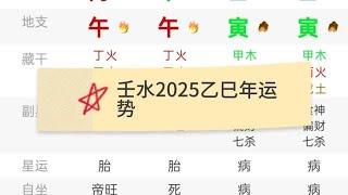 壬水2025乙巳年运势最全讲解