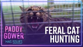 Why feral cats aren't included in Predator Free 2050 | Paddy Gower Has Issues