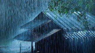 Put YOU to Sleep Instantly with Heavy Rain on Metal Roof & Thunder Sounds | Relaxing White Noise