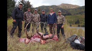 Alaska-Afognak Island Roosevelt Elk Hunt 2019