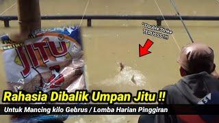 Rahasia Dibalik Umpan JITU EBI  Maksimal dikolam pemancingan