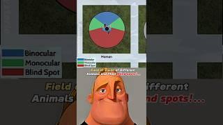 How Animals actually see the World! #shorts #youtubeshorts #science #fyp #nature