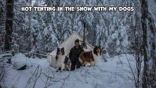 Hot Tenting In The Snow With My Dogs