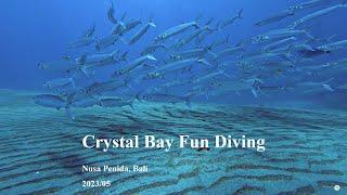 Crystal Bay Fun Dive, Nusa Penida, Bali. 2023/05